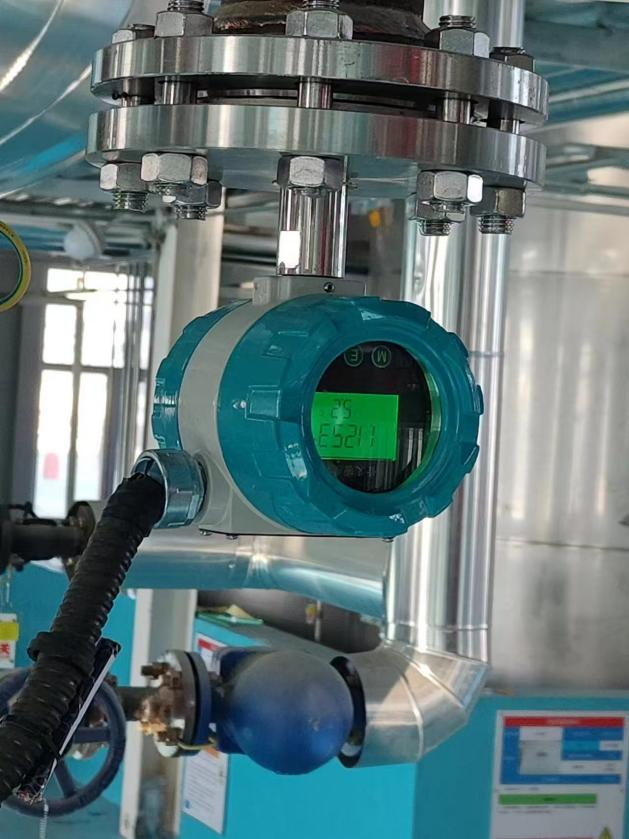 音叉密度計在食品行業(yè)的應(yīng)用